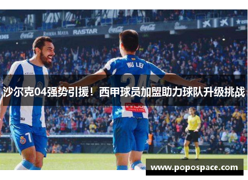 沙尔克04强势引援！西甲球员加盟助力球队升级挑战