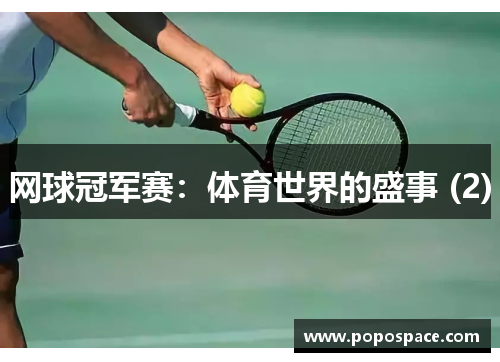 网球冠军赛：体育世界的盛事 (2)