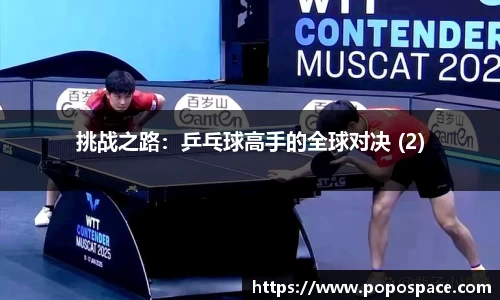 挑战之路：乒乓球高手的全球对决 (2)
